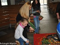 Erntedank Lahr 2015  Erntedank Lahr 2015 : 2015, Erntedankfest, Lahr