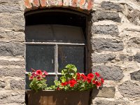 20100603-IMG 0553 : 2010