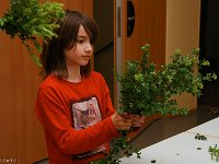 20140411-IMG 7194 : 2014, Palmstock