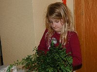 20140411-IMG 7209-2 : 2014, Palmstock