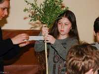 20140411-IMG 7211-2 : 2014, Palmstock