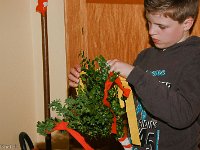 20140411-IMG 7226 : 2014, Palmstock