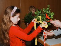 20140411-IMG 7238-2 : 2014, Palmstock