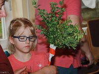 20140411-IMG 7248-2 : 2014, Palmstock