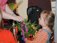 20140411-IMG 7252-2 : 2014, Palmstock