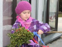 20130322-IMG 2479 : Basteln, Palmstock